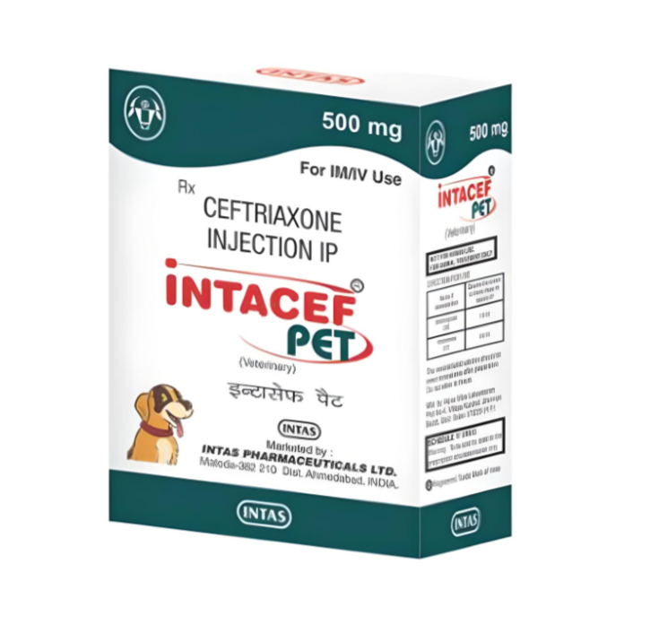 Intacef 500mg